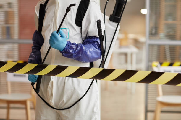 Professional Hoarding Cleanup technician working in Longbranch, WA